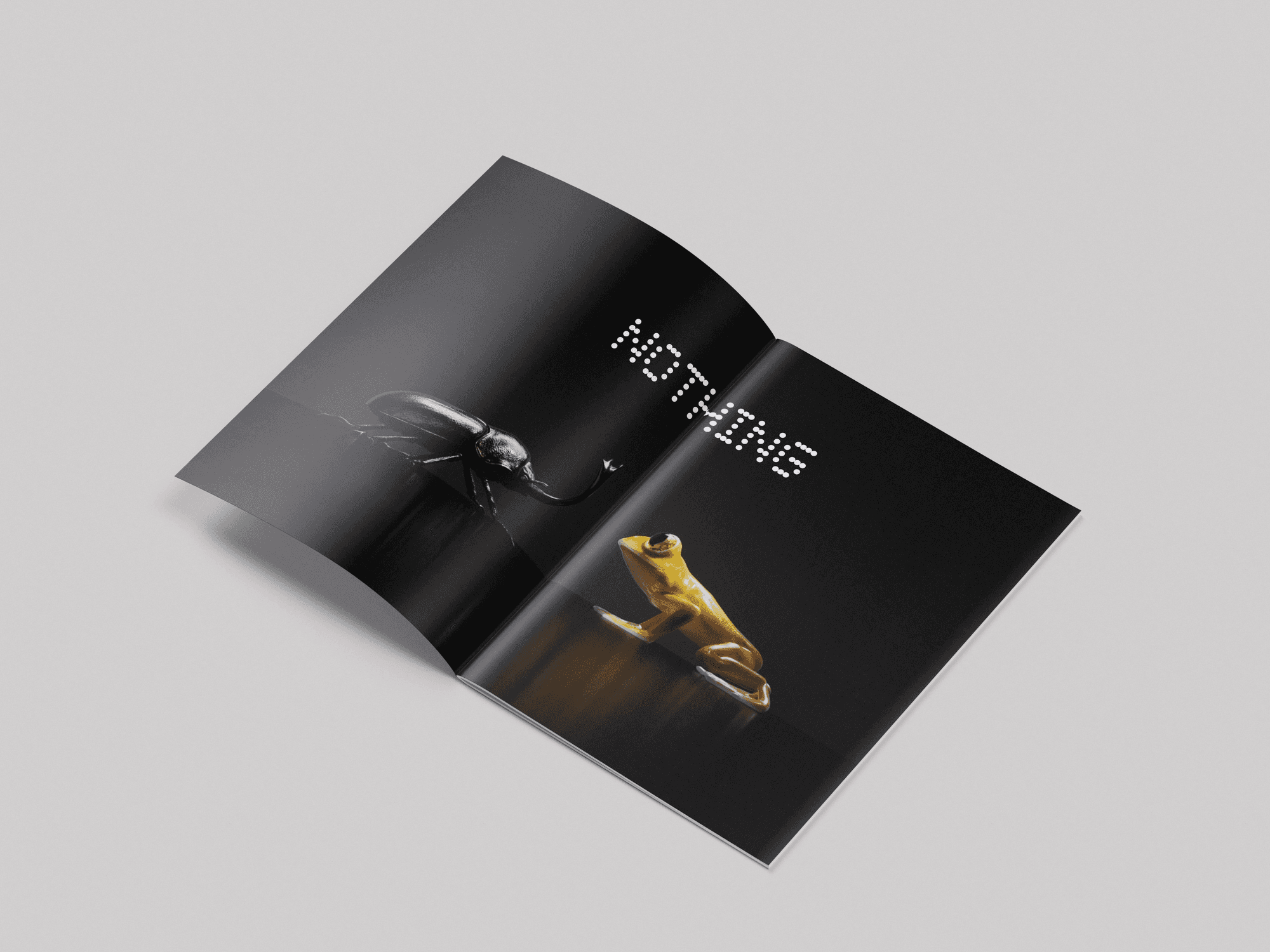 Nothing hero shot 2